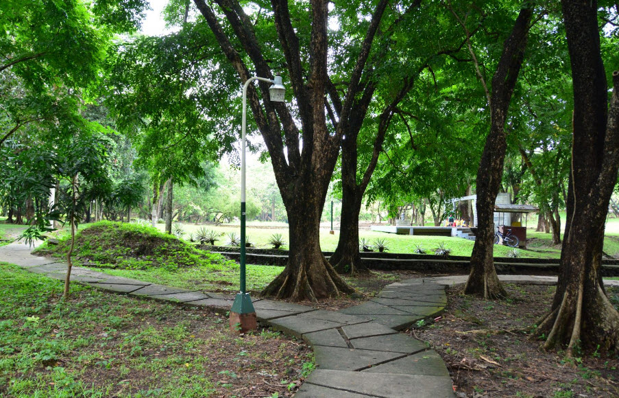 UP Diliman Biology - EDC Binhi, Philippines